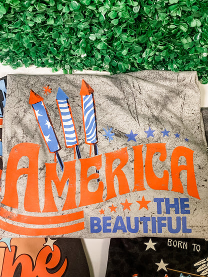 America The Beautiful Graphic Tee